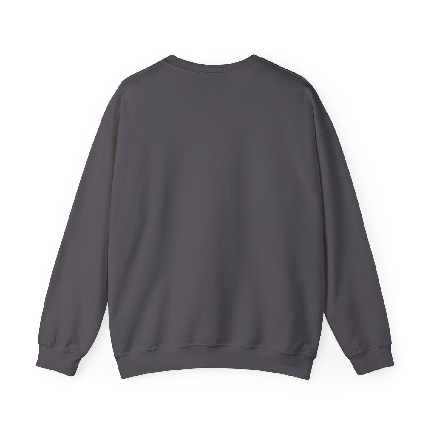 Ace Cheetah Sweatshirt