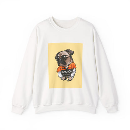Cool Dog Sweater