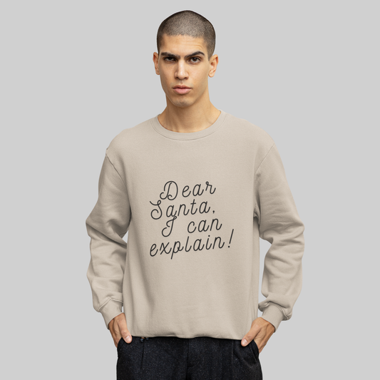 I Can Explain Sweater